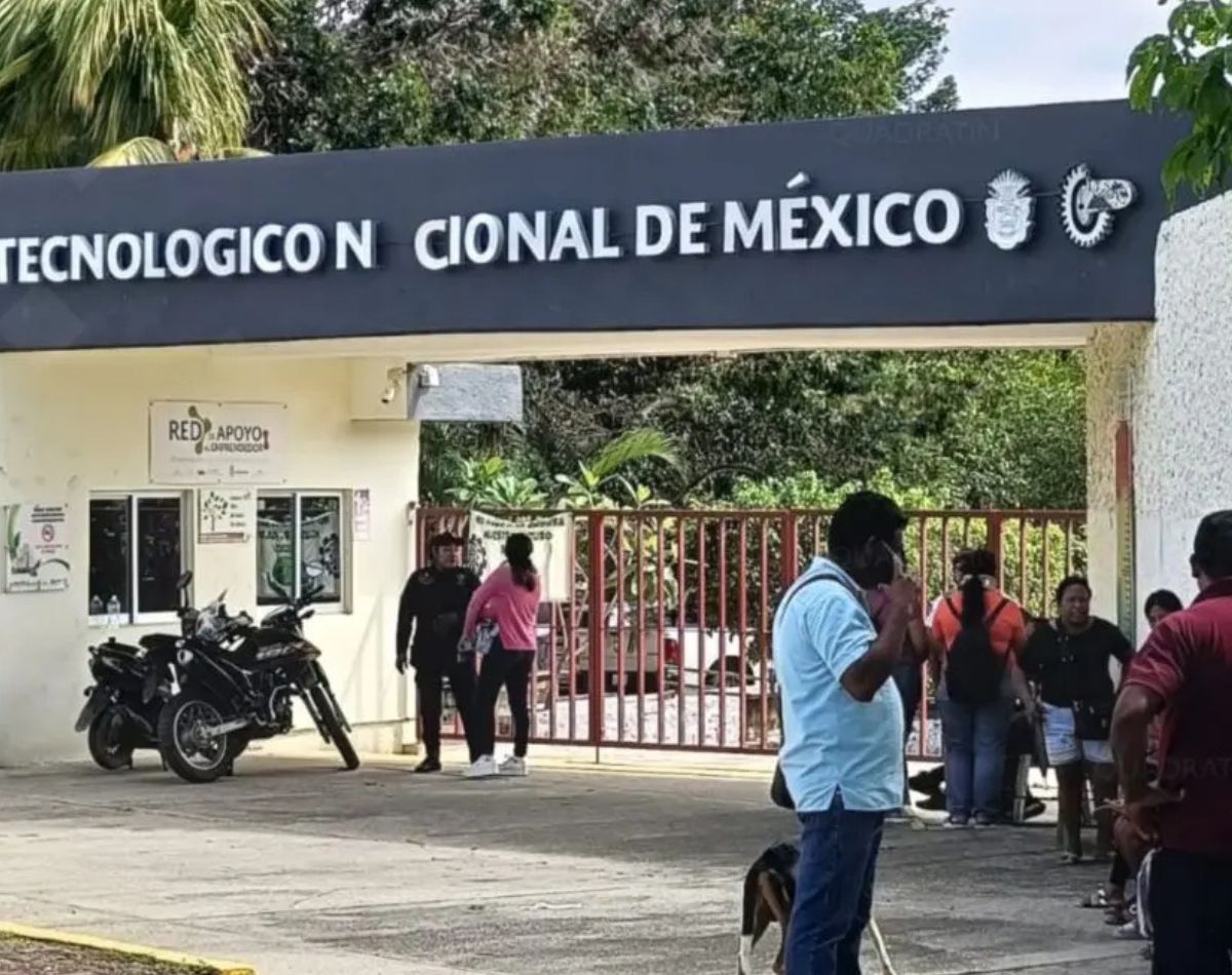 brigadistas
