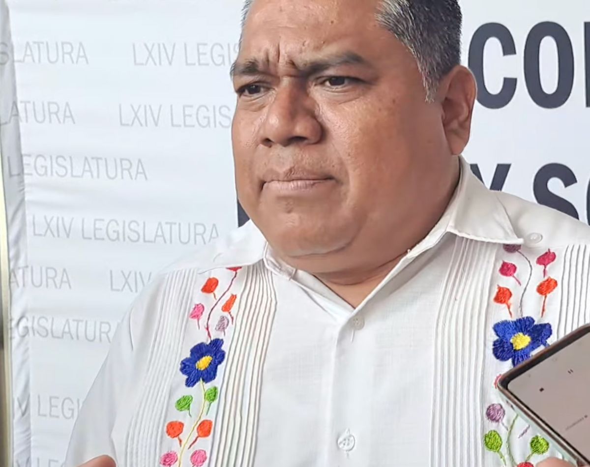 diputado