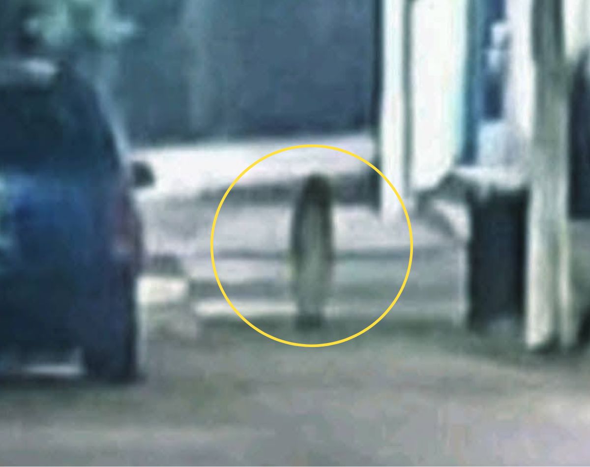 fantasma guerrero