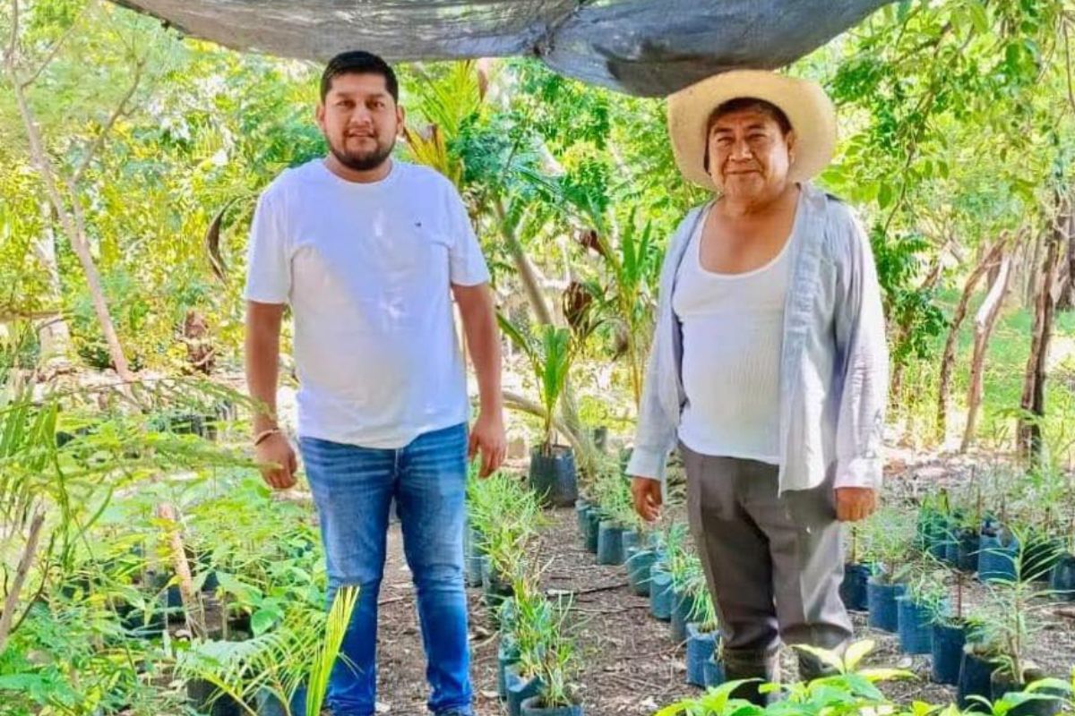 vivero