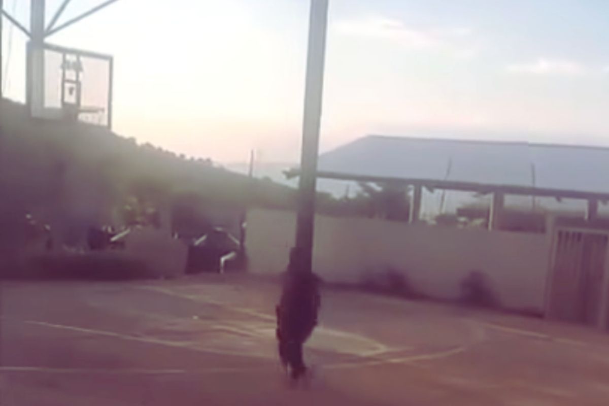 ataque armado Olinala, Guerrero