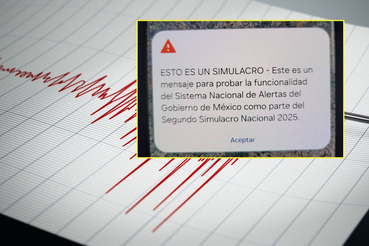 simulacro 1