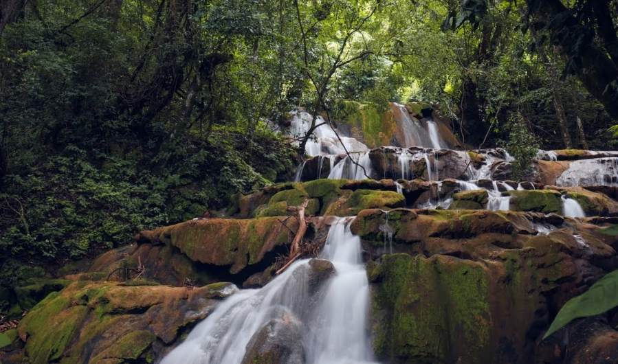 cascada tepehuaje