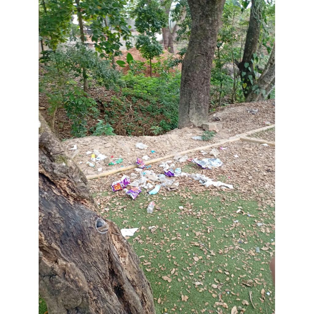 denuncia-Tlacoachistlahuaca