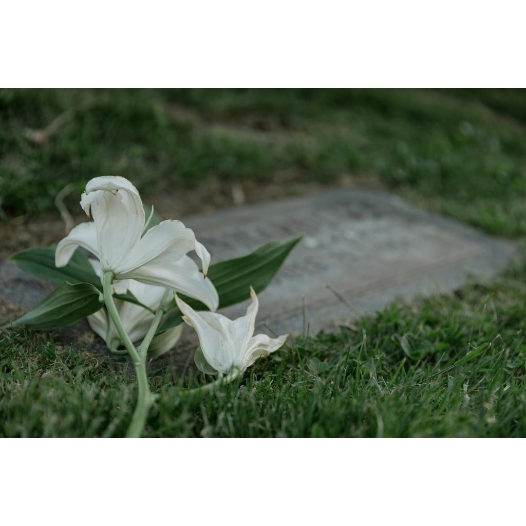 mujeres-indígenas-Guerrero