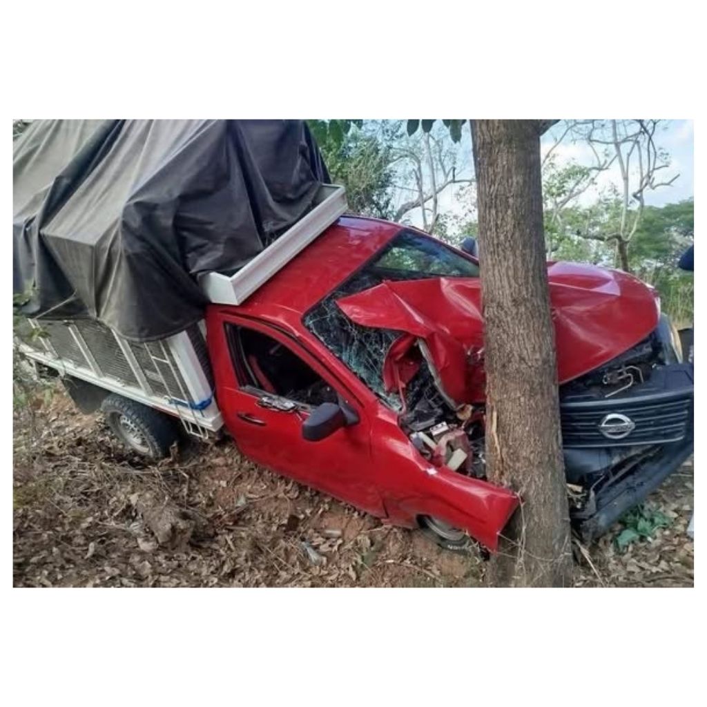 accidente-San-Luis-Acatlán