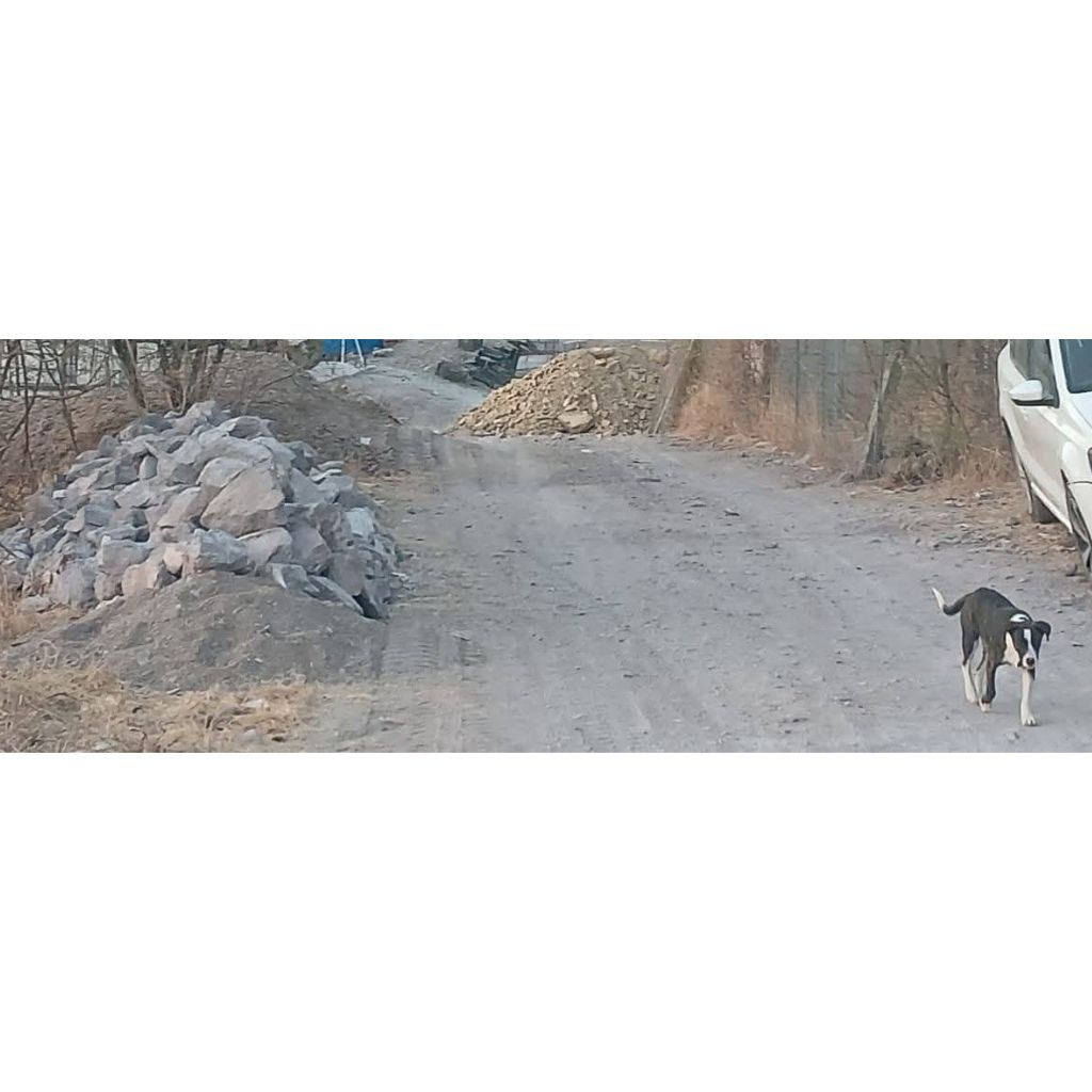 conflicto-vecinal-Tlapa